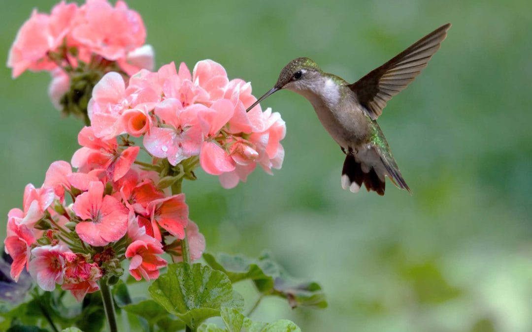 Afraid of Losing Income