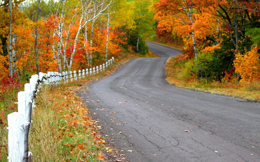 Becoming Whole after the Loss of a Mate