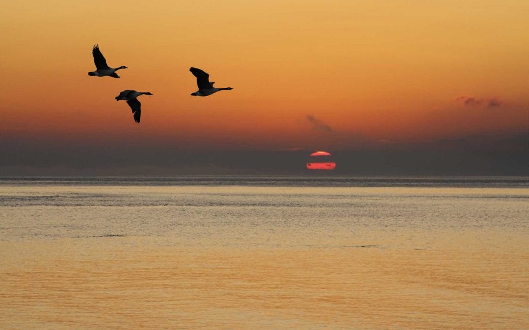 Take My Ex to Court?