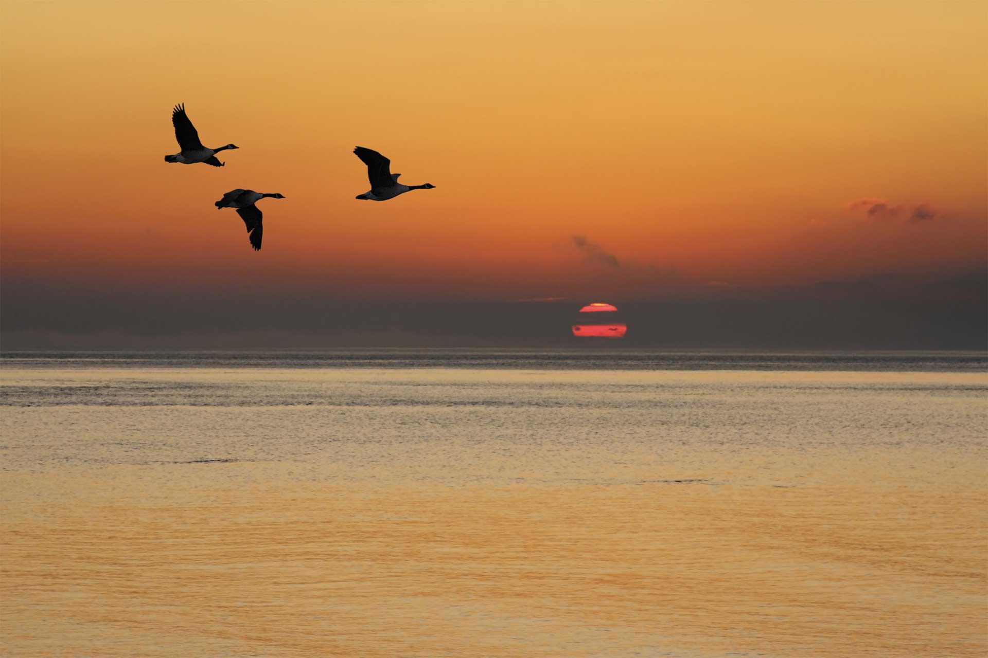 padma-life-coaching-14