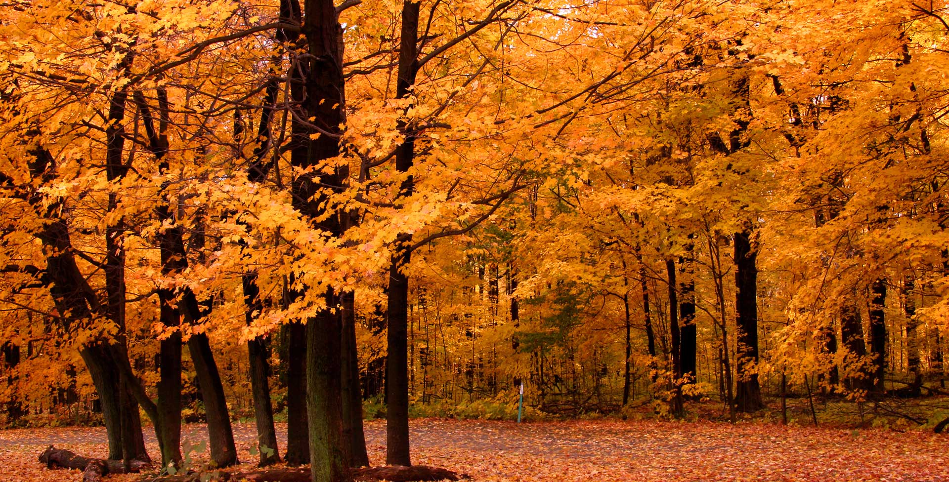 padma-life-coaching-15