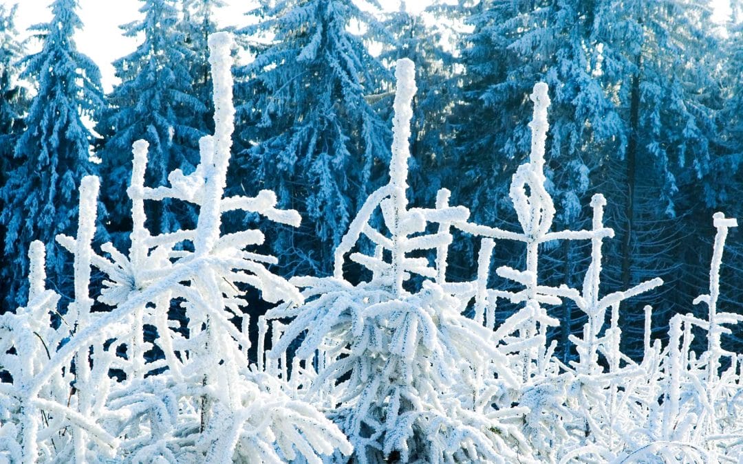 Getting What You Want in 2012