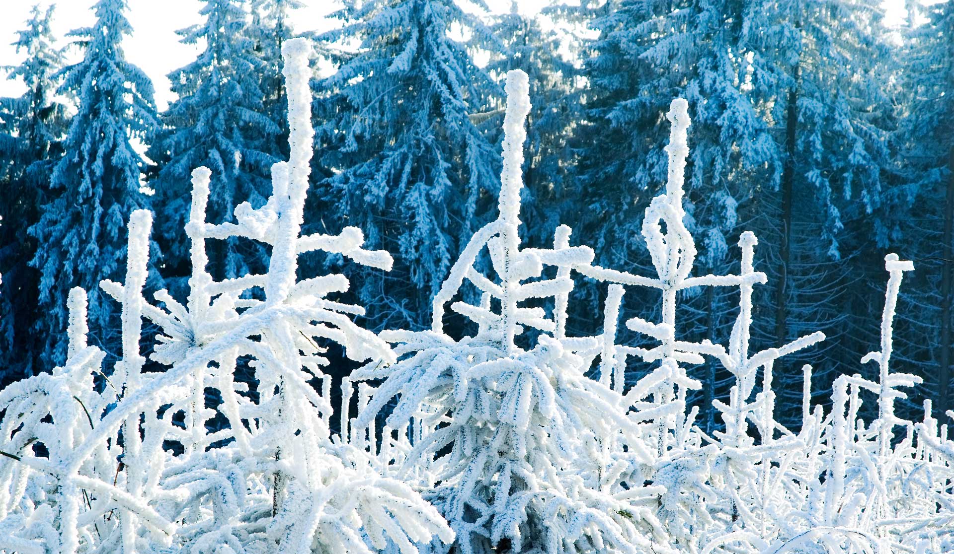 padma-life-coaching-16