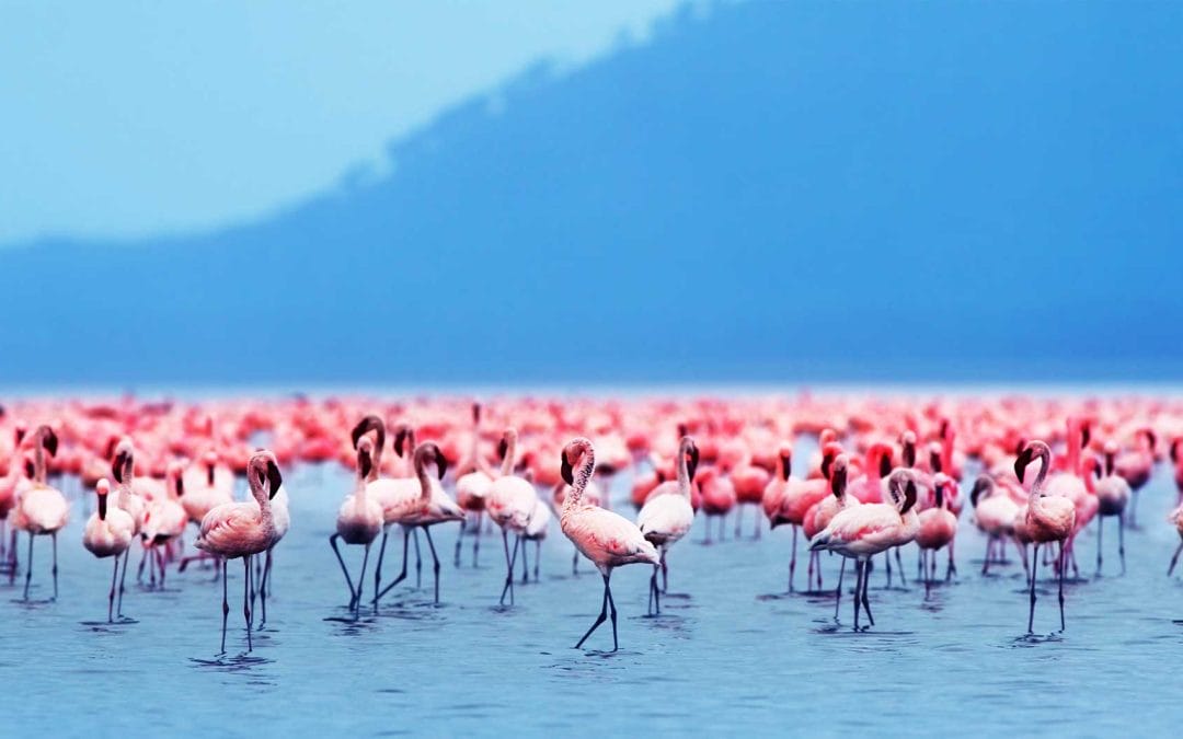 What Happens When You Can’t Forgive?