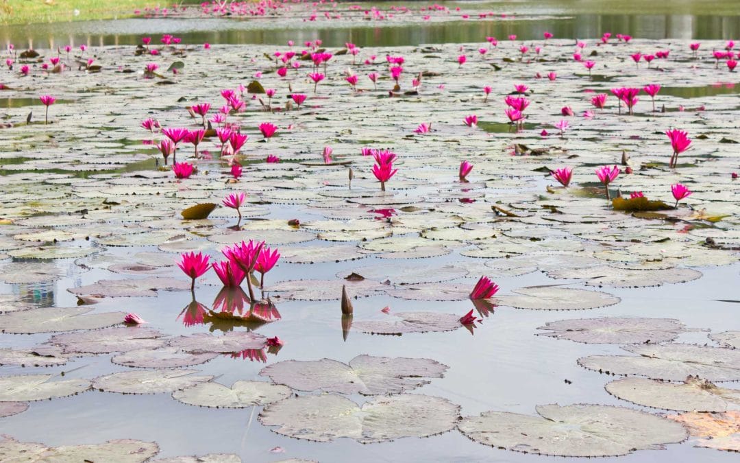 A Personal Astrology Story