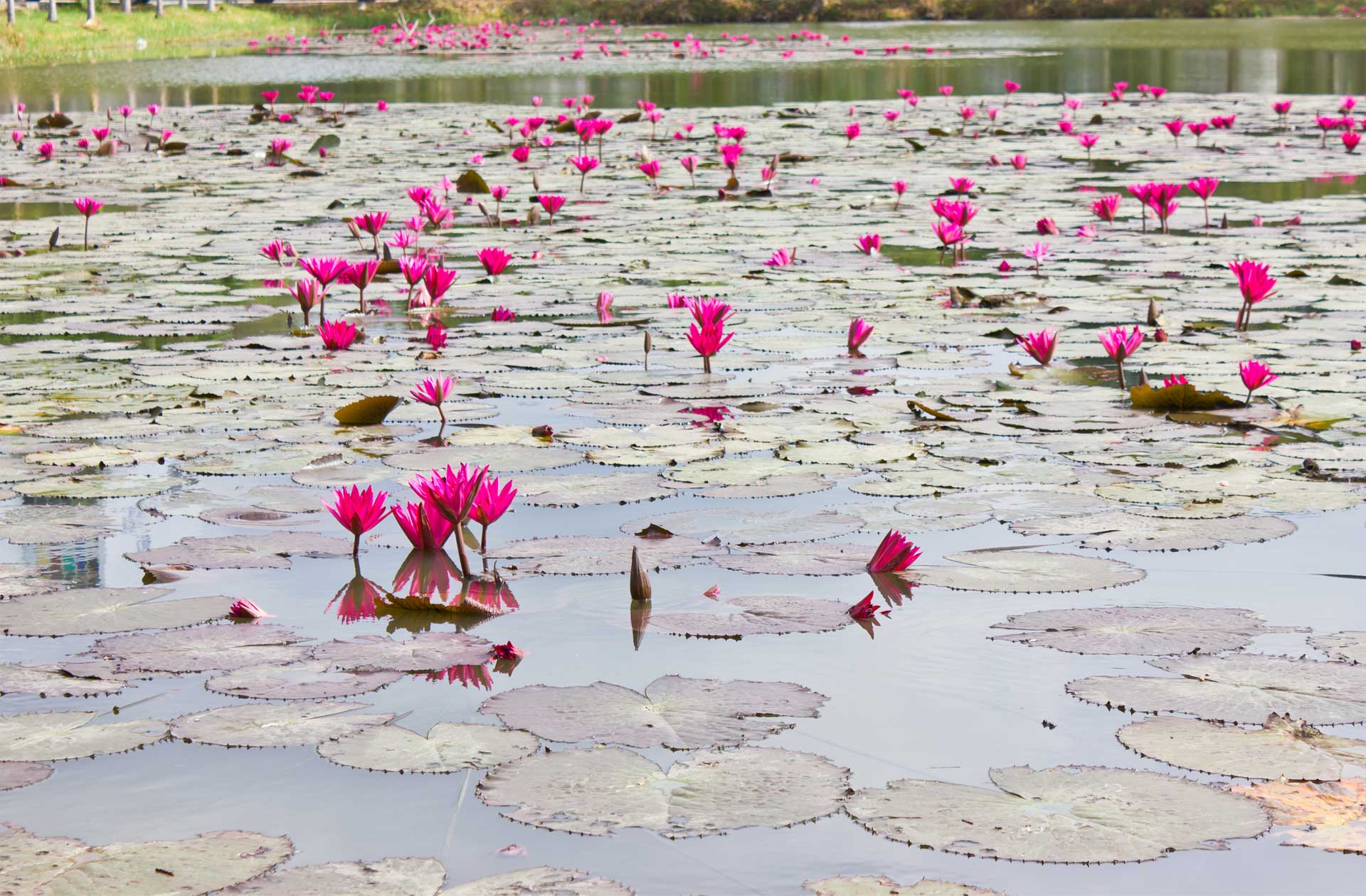 padma-life-coaching-22