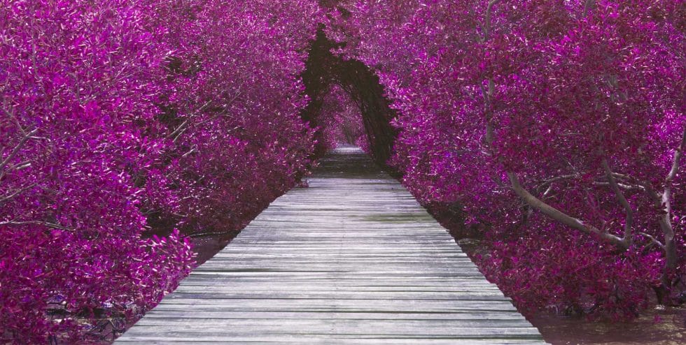 Happy New Year! The End of A Cycle of Years