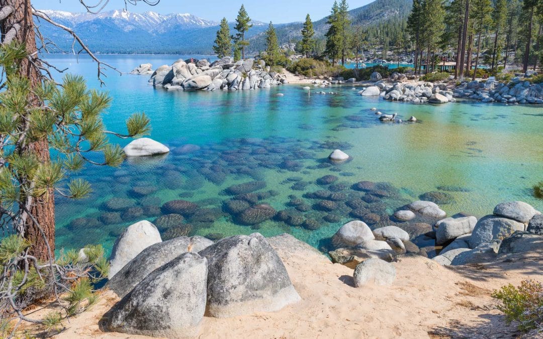 Transition – A New Year Has Begun!