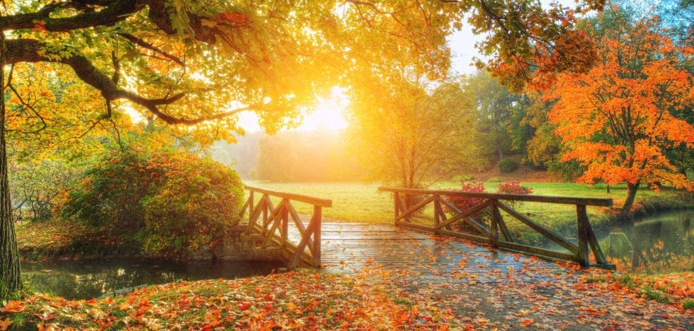 Mother of us all – The Great Mother Goddess