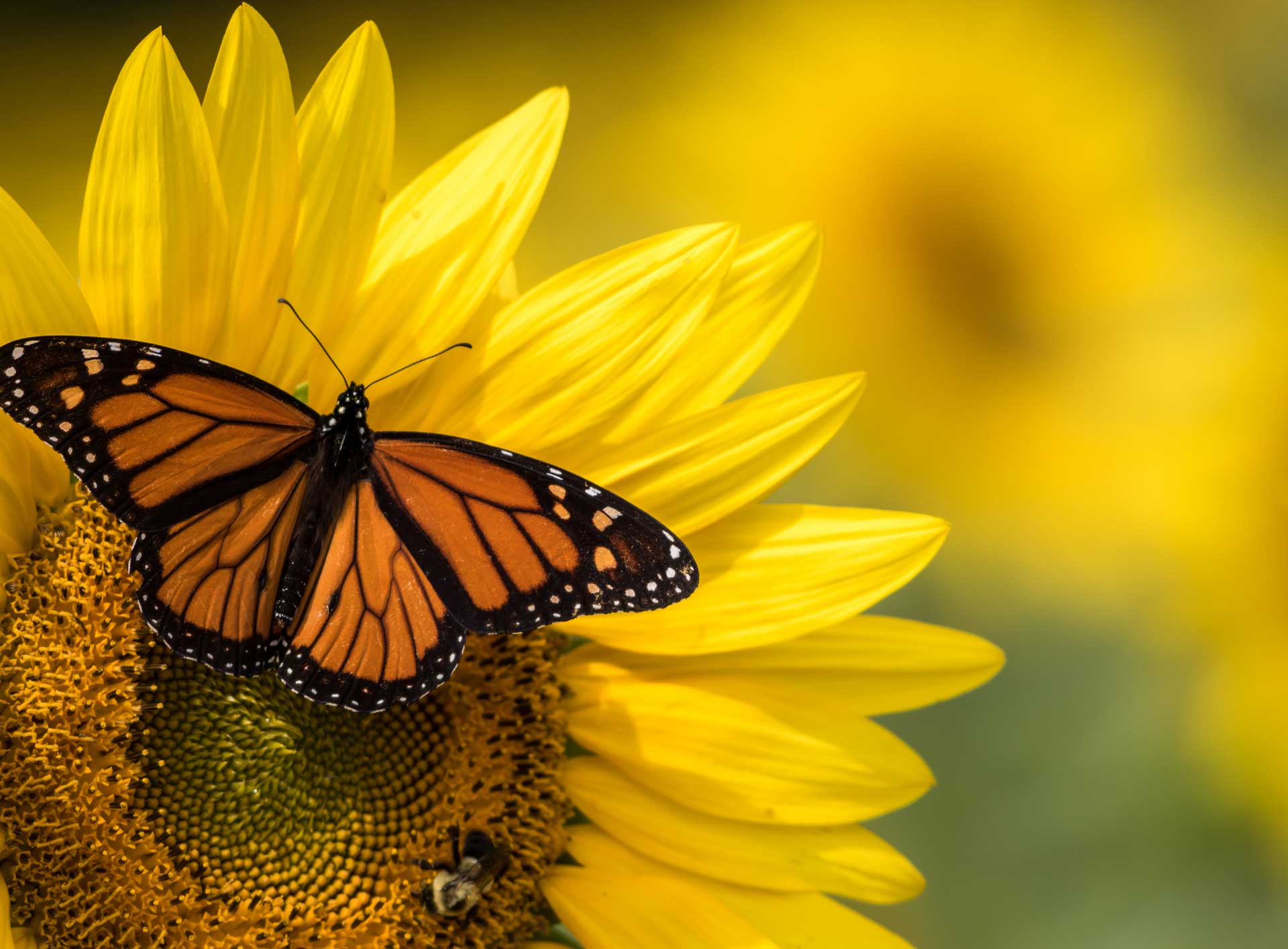 padma-life-coaching-36