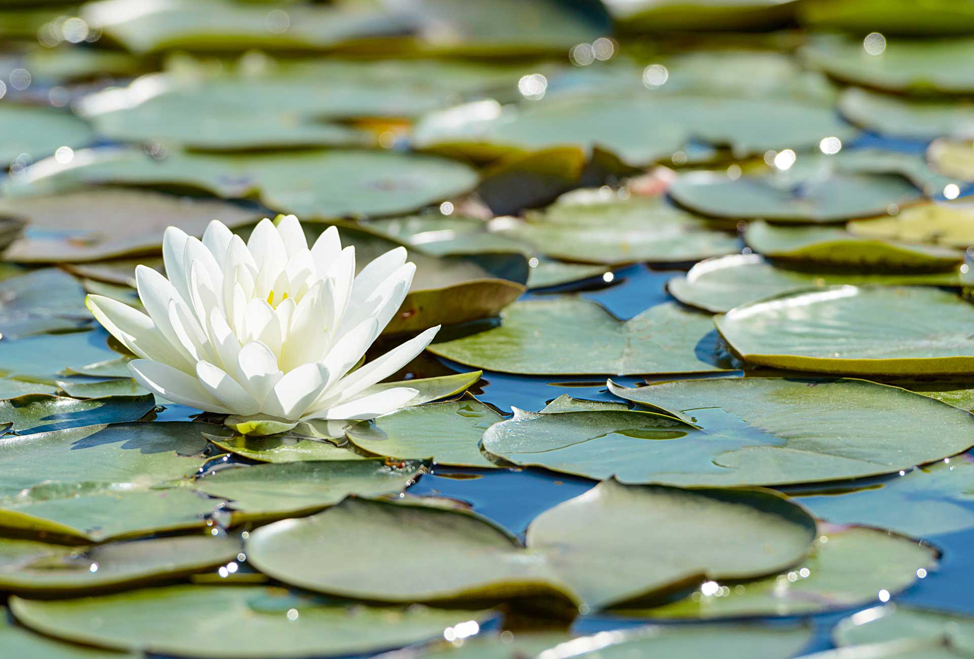 padma-life-coaching-37