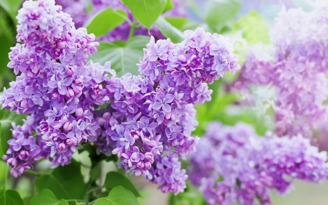 Moving: It Can Be A Rewarding Spiritual Experience