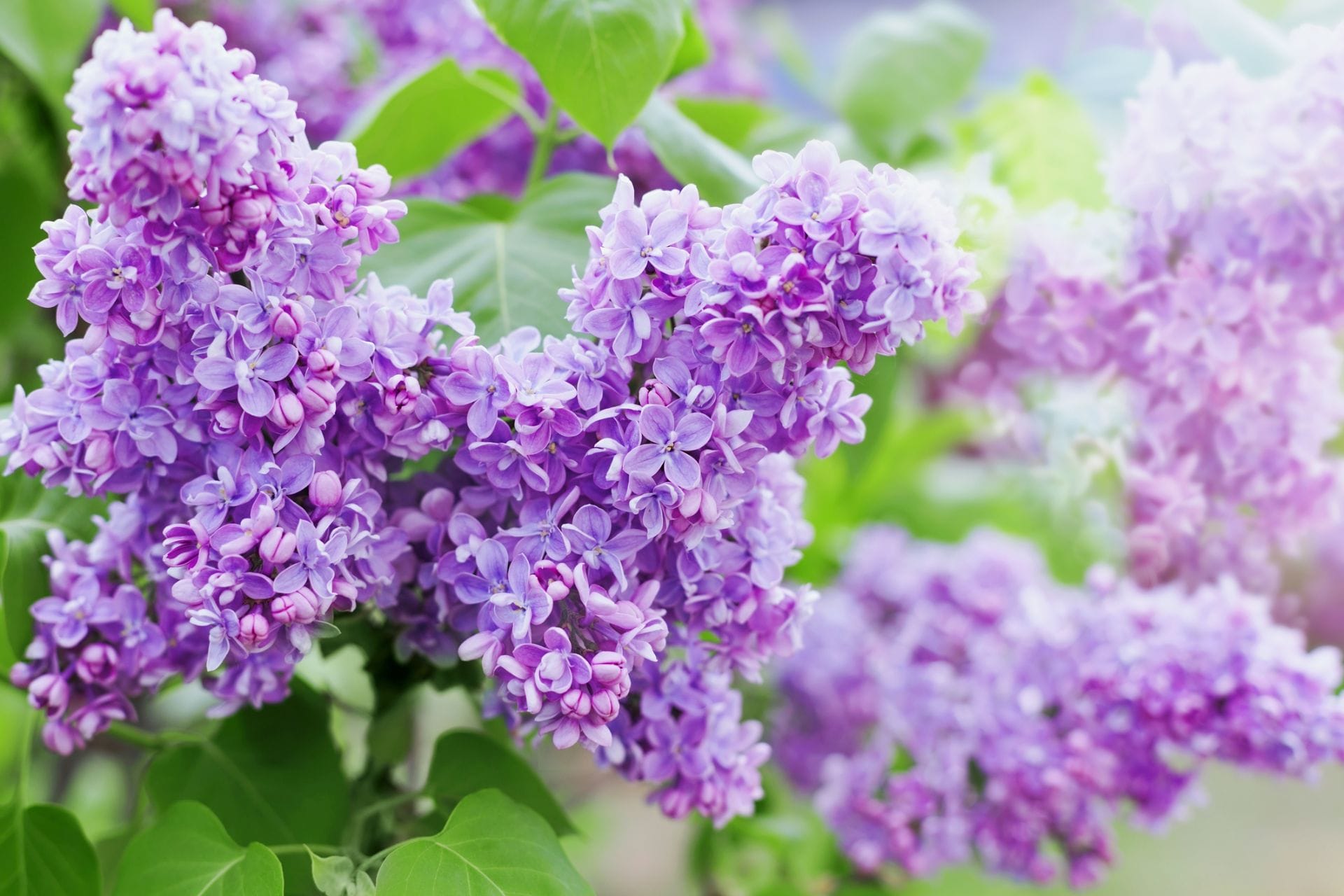 padma-life-coaching-38