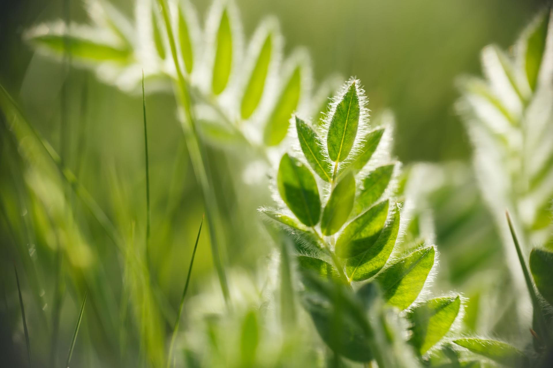 padma-life-coaching-39