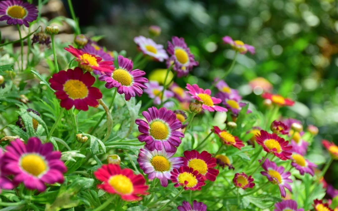 Reevaluating Your Life