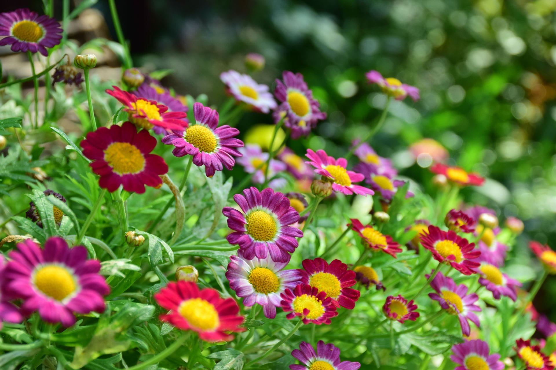 padma-life-coaching-40