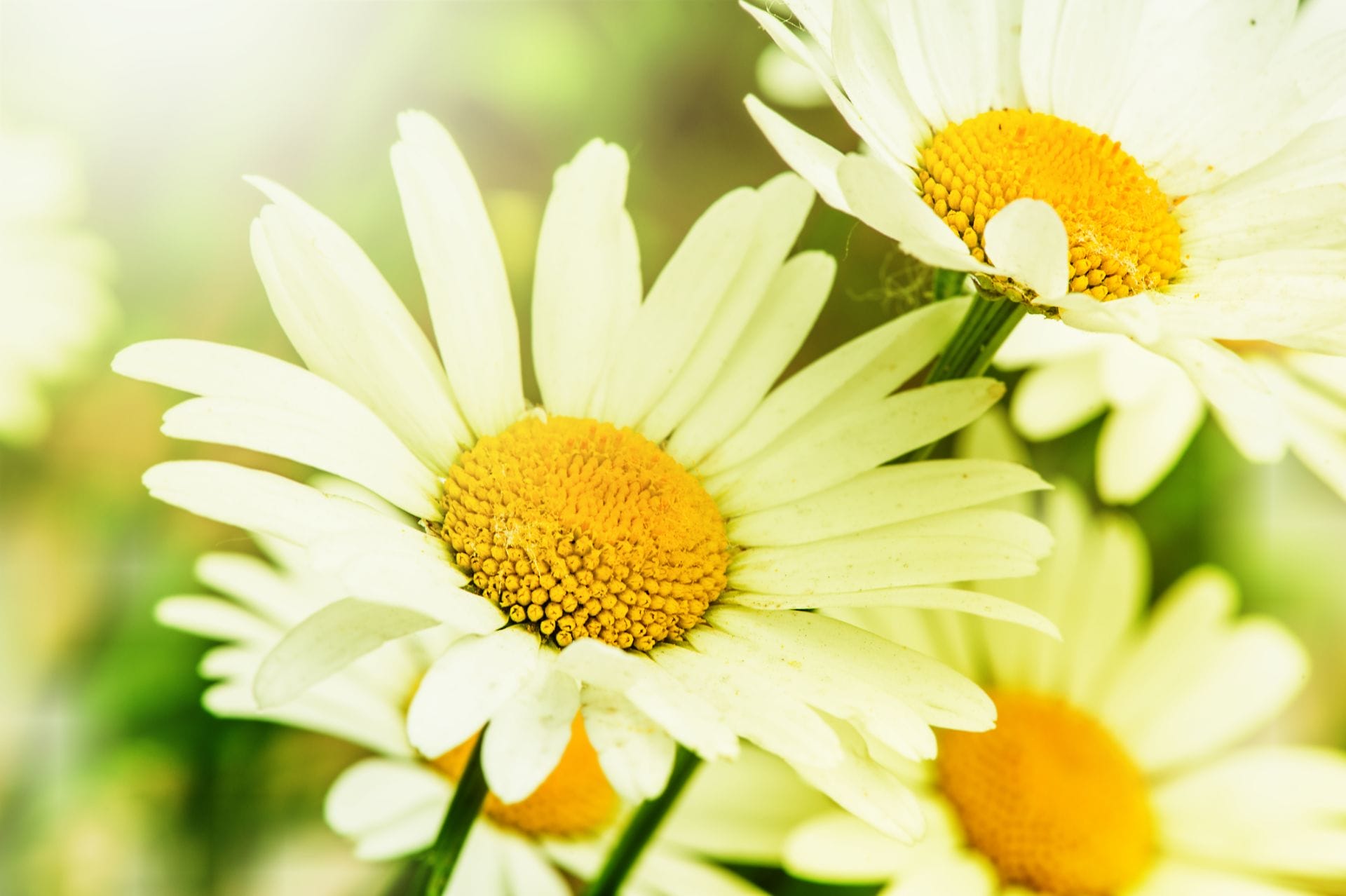 padma-life-coaching-41