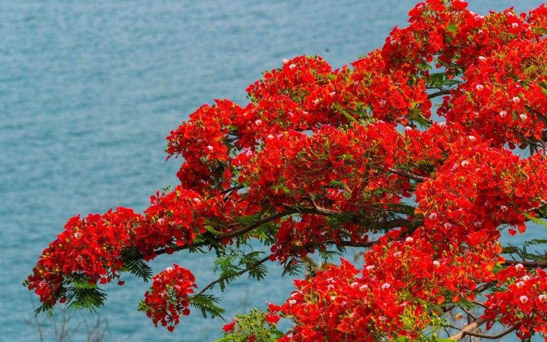 Why do we cause ourselves so much suffering?