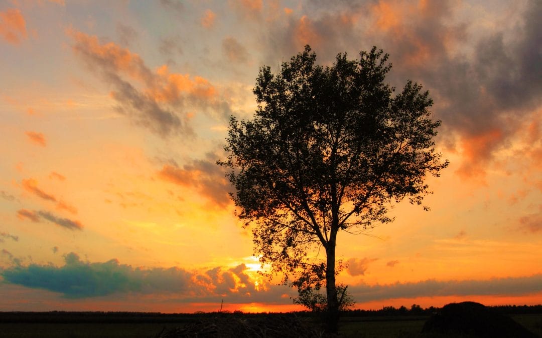 Astrology StoryTelling Class – beginning June 7, 2026