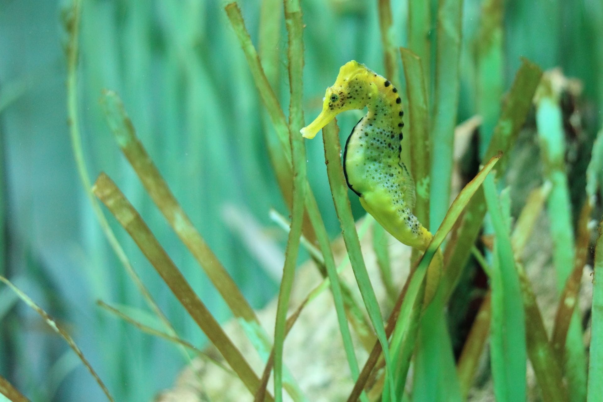 padma-life-coaching-45