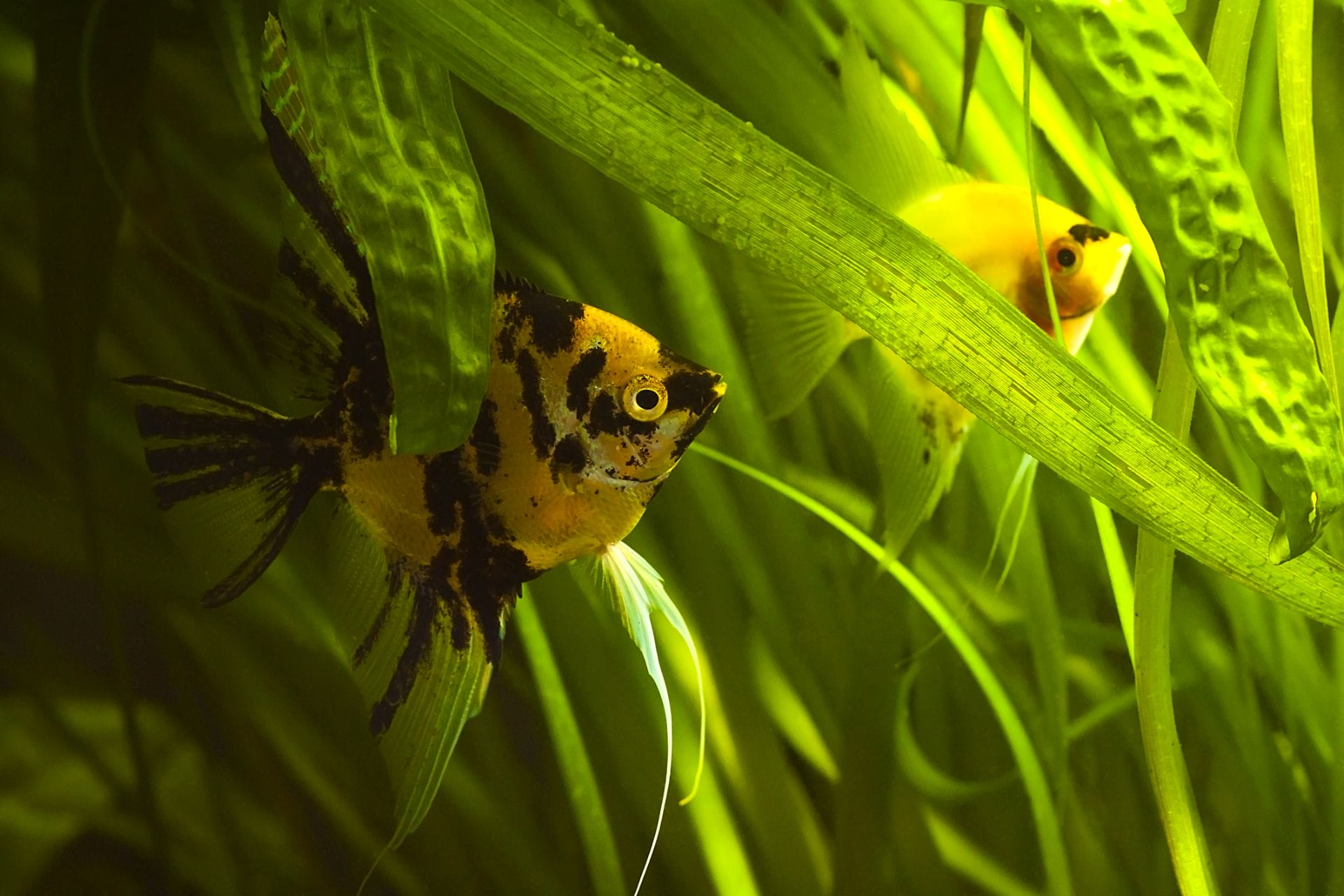 padma-life-coaching-46