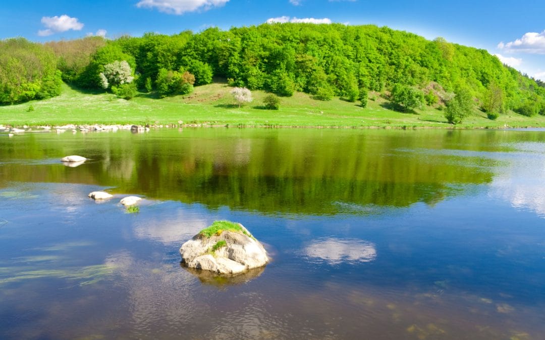 Money: How to acquire all you need