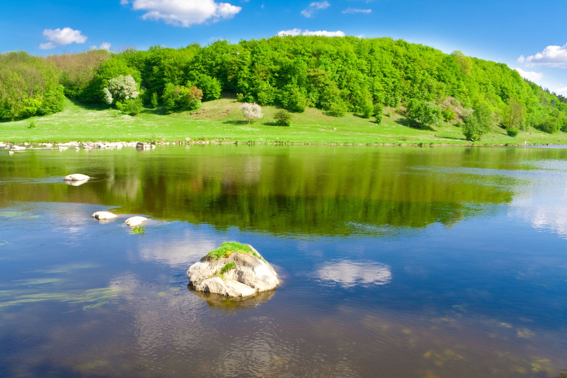 padma-life-coaching-47