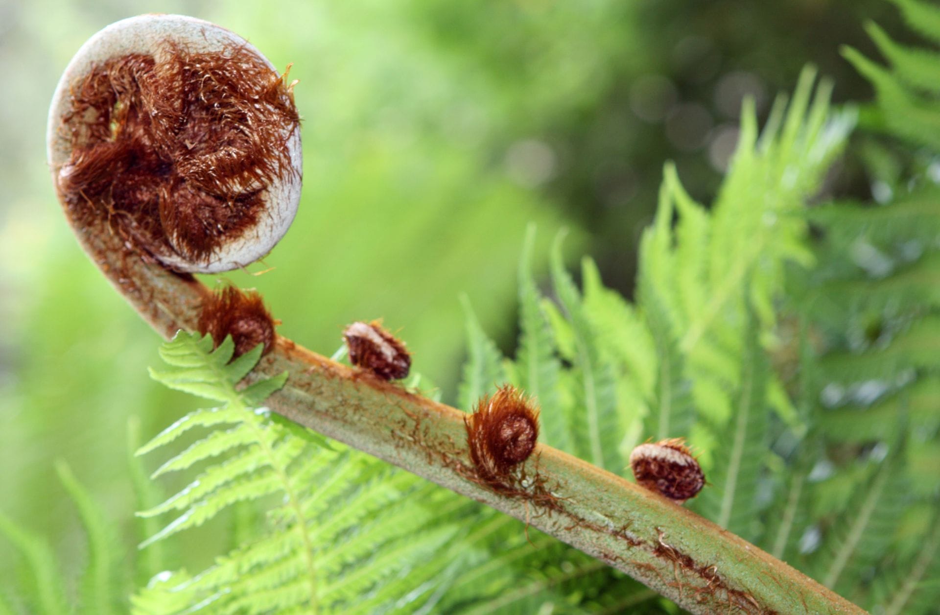 padma-life-coaching-51