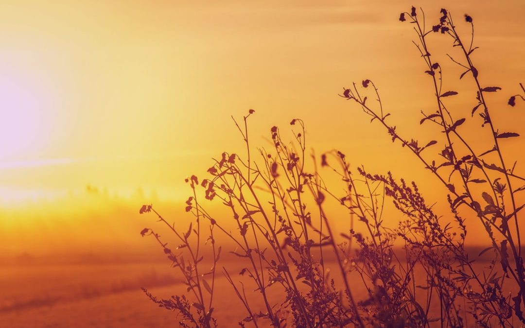 Easter – A Time of Love