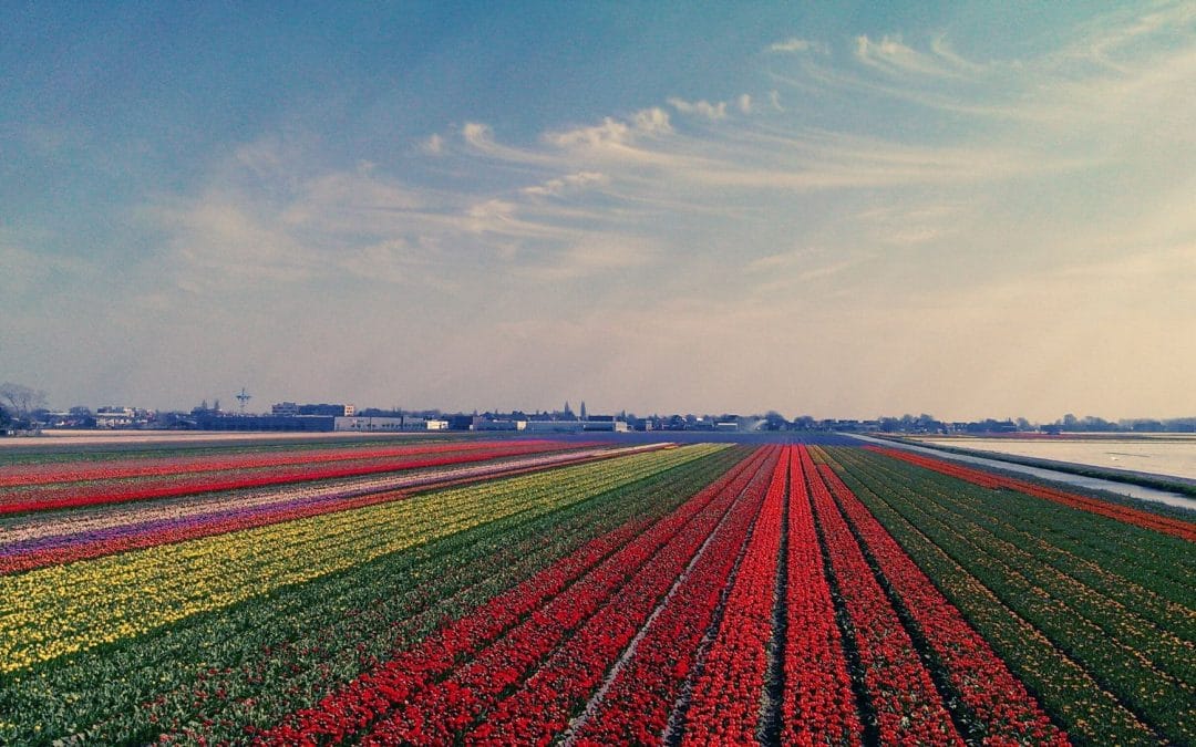 Retrograde Planets – What’s it all about