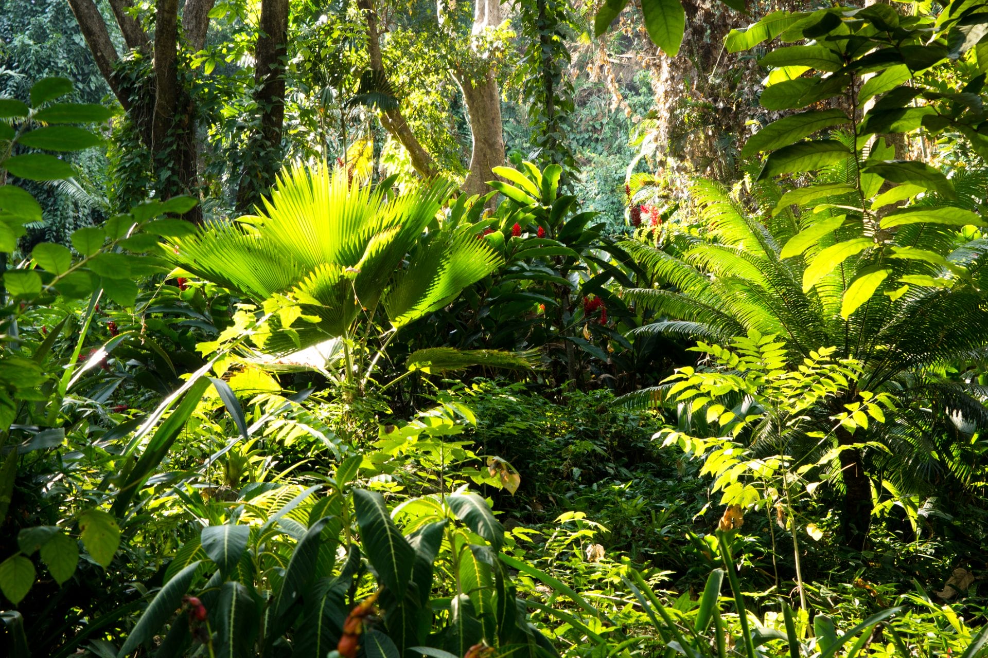 padma-life-coaching-56