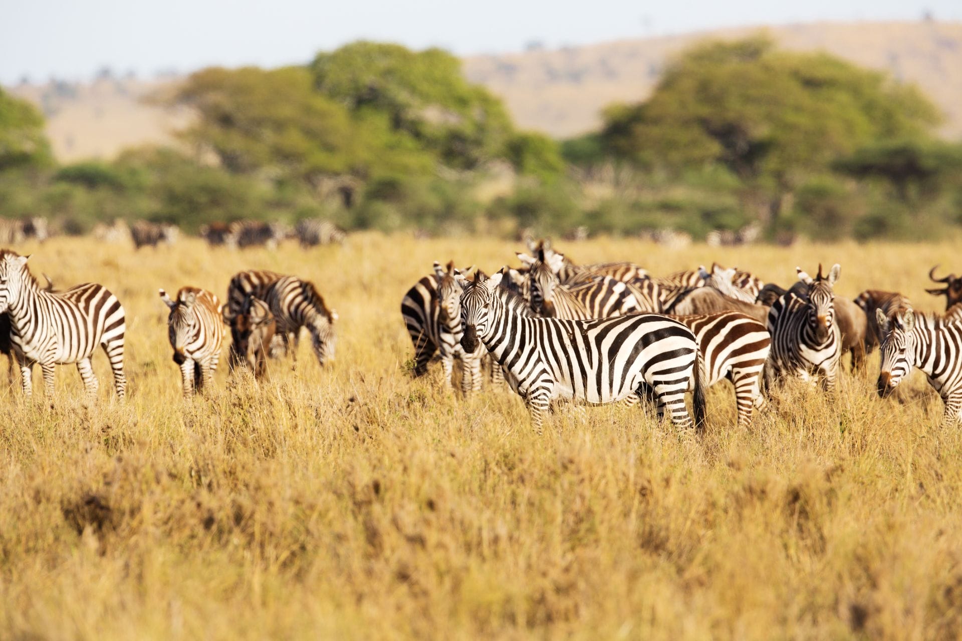 padma-life-coaching-58