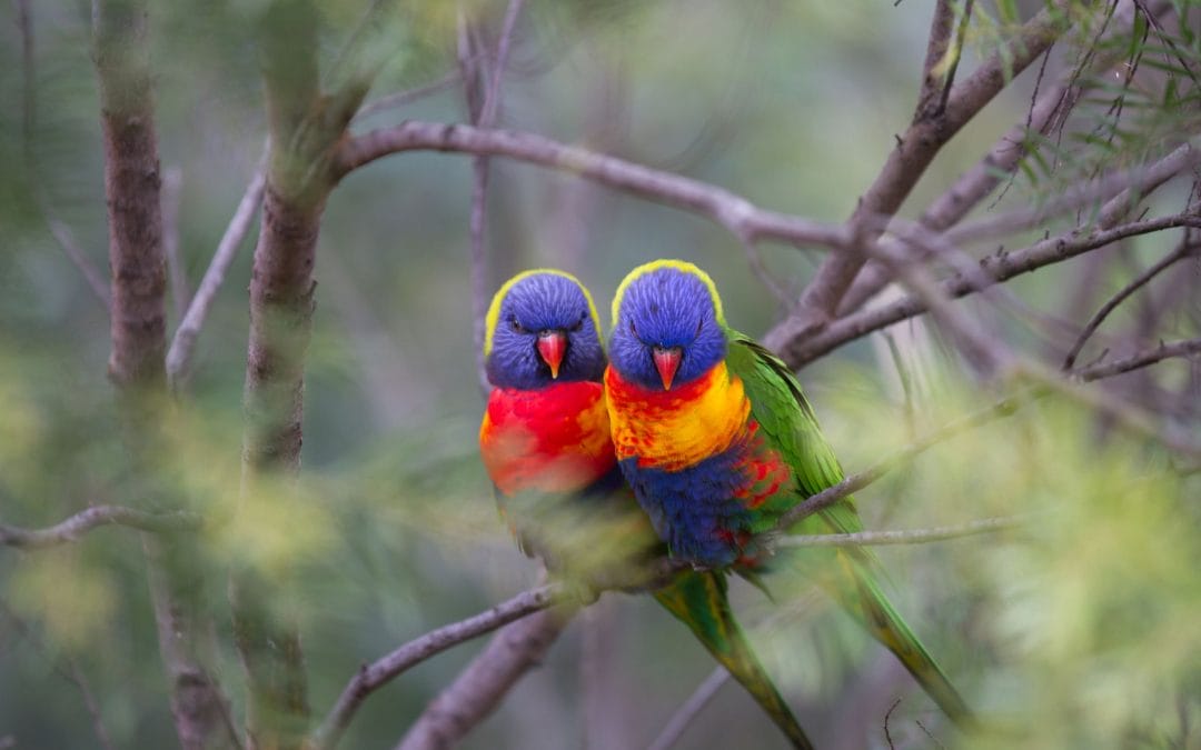 Where is Marie going to be?