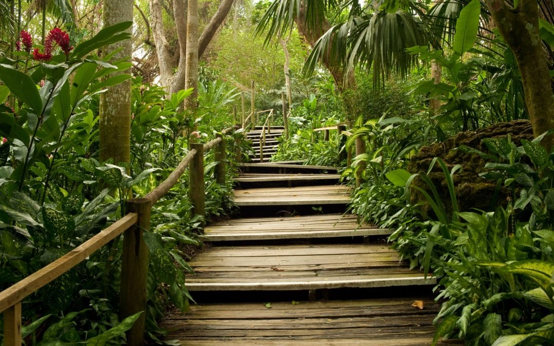 Toastmasters – Where Leaders Are Made