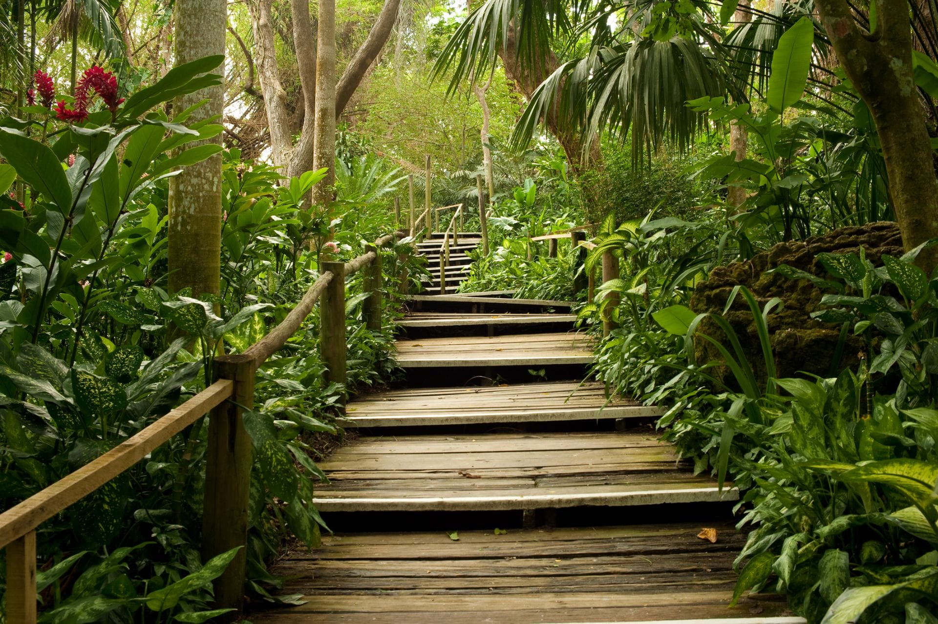 padma-life-coaching-61