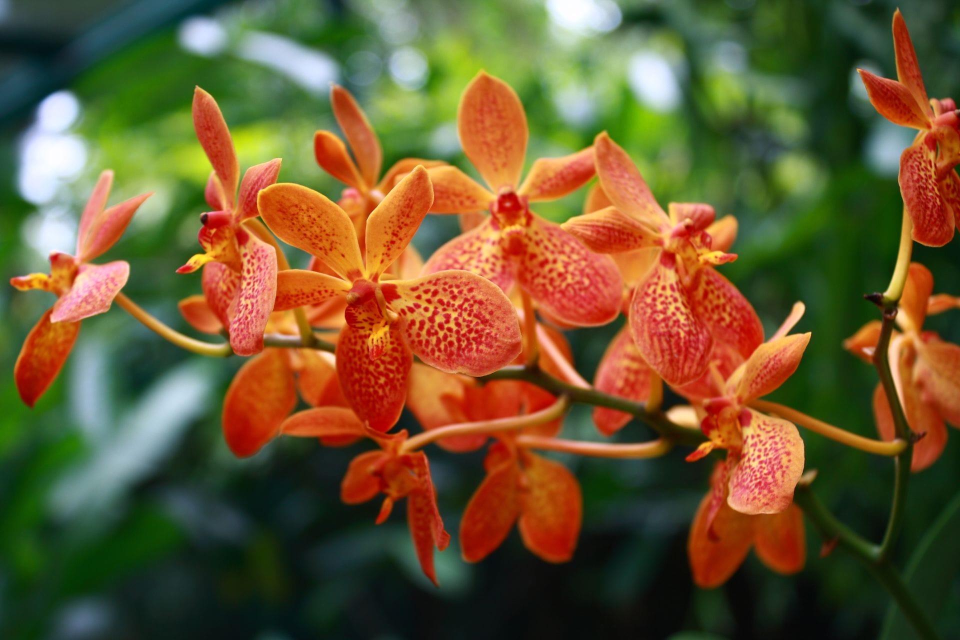 padma-life-coaching-62