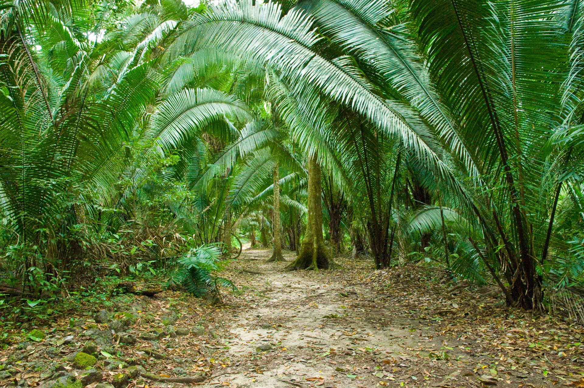 padma-life-coaching-64