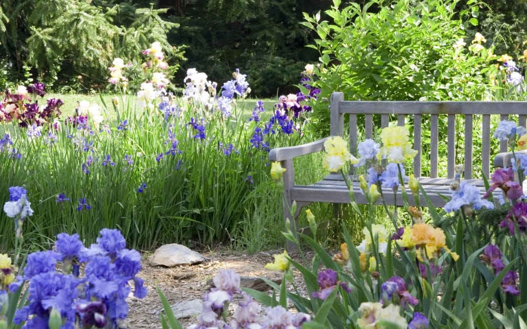 MARIE O’NEILL REBRANDS BUSINESS