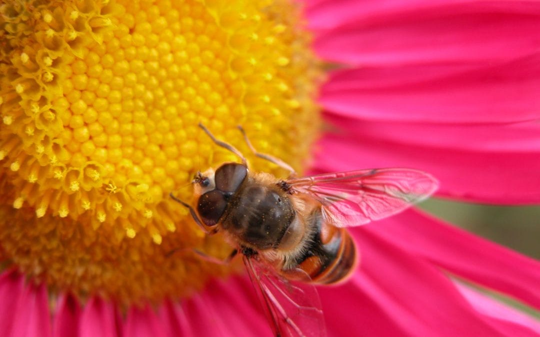 North West Astrological Conference NORWAC