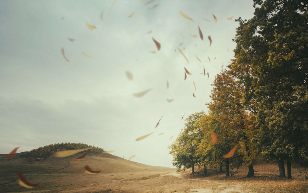 The Courage to Remember: Reclaiming Your Original Essence