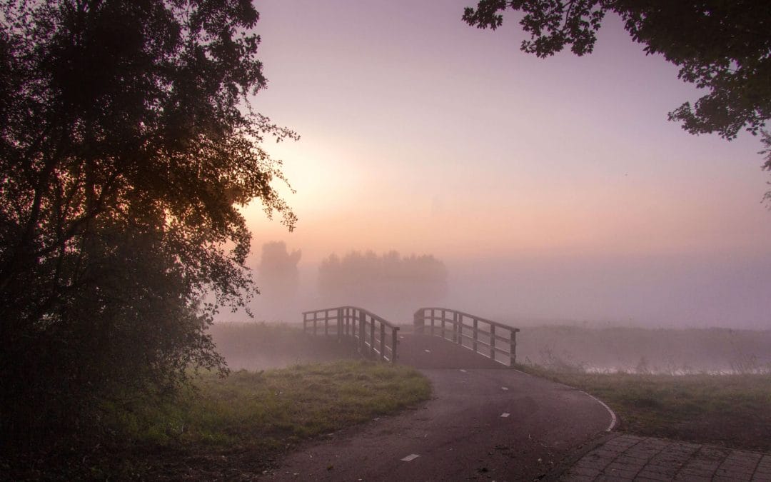 The Aliveness Mandate: Shattering the Lens of Experience | July 12 – 18, 2026