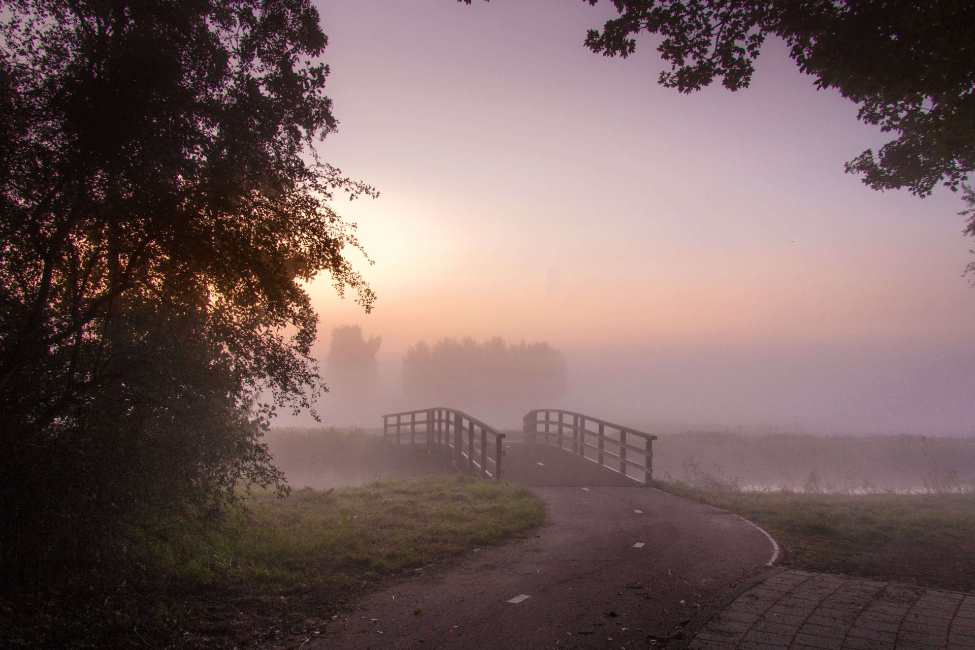 foggy-morning foggy morning