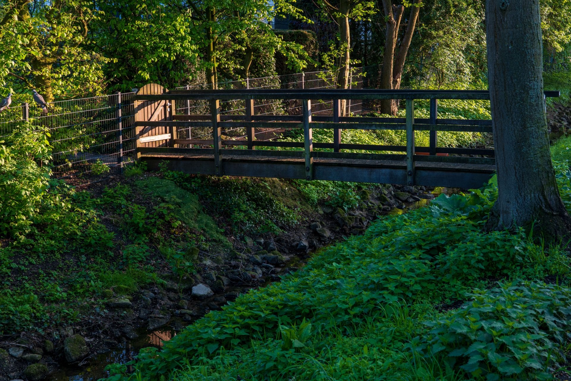 bridge over water