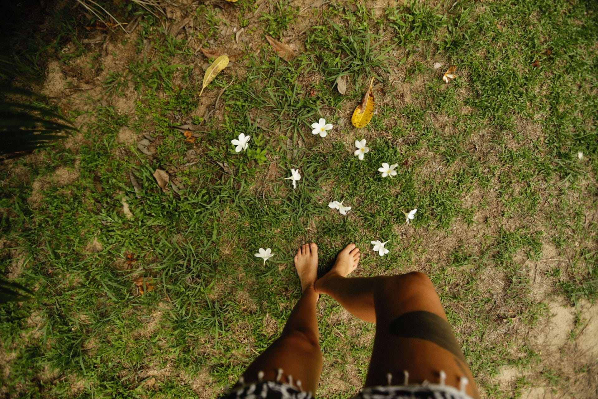barefoot barefoot