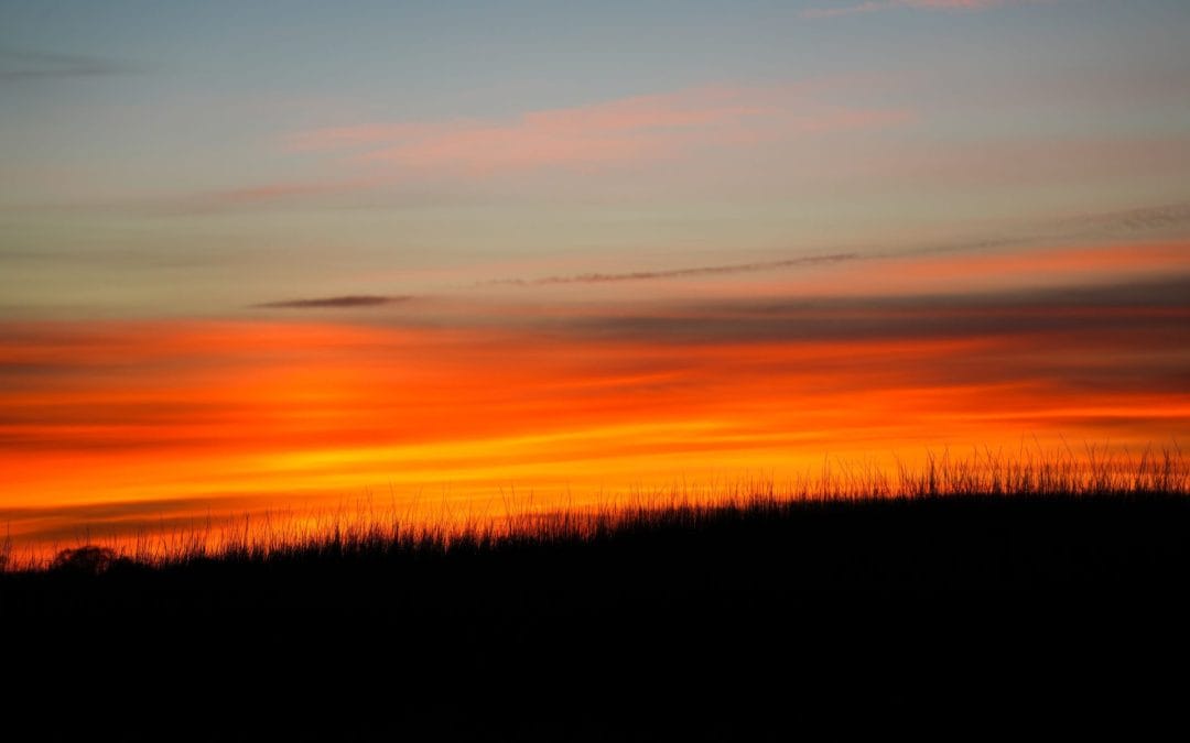 The Sacred Crucible: Eclipsing the Ego to Find Your True Light | August 9 – 15, 2026