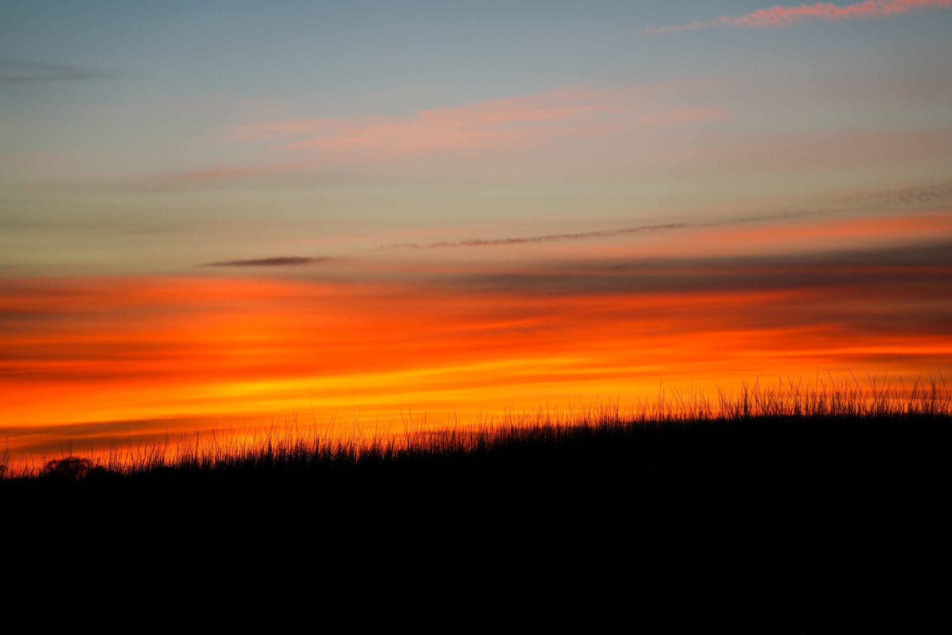 sunset sunset