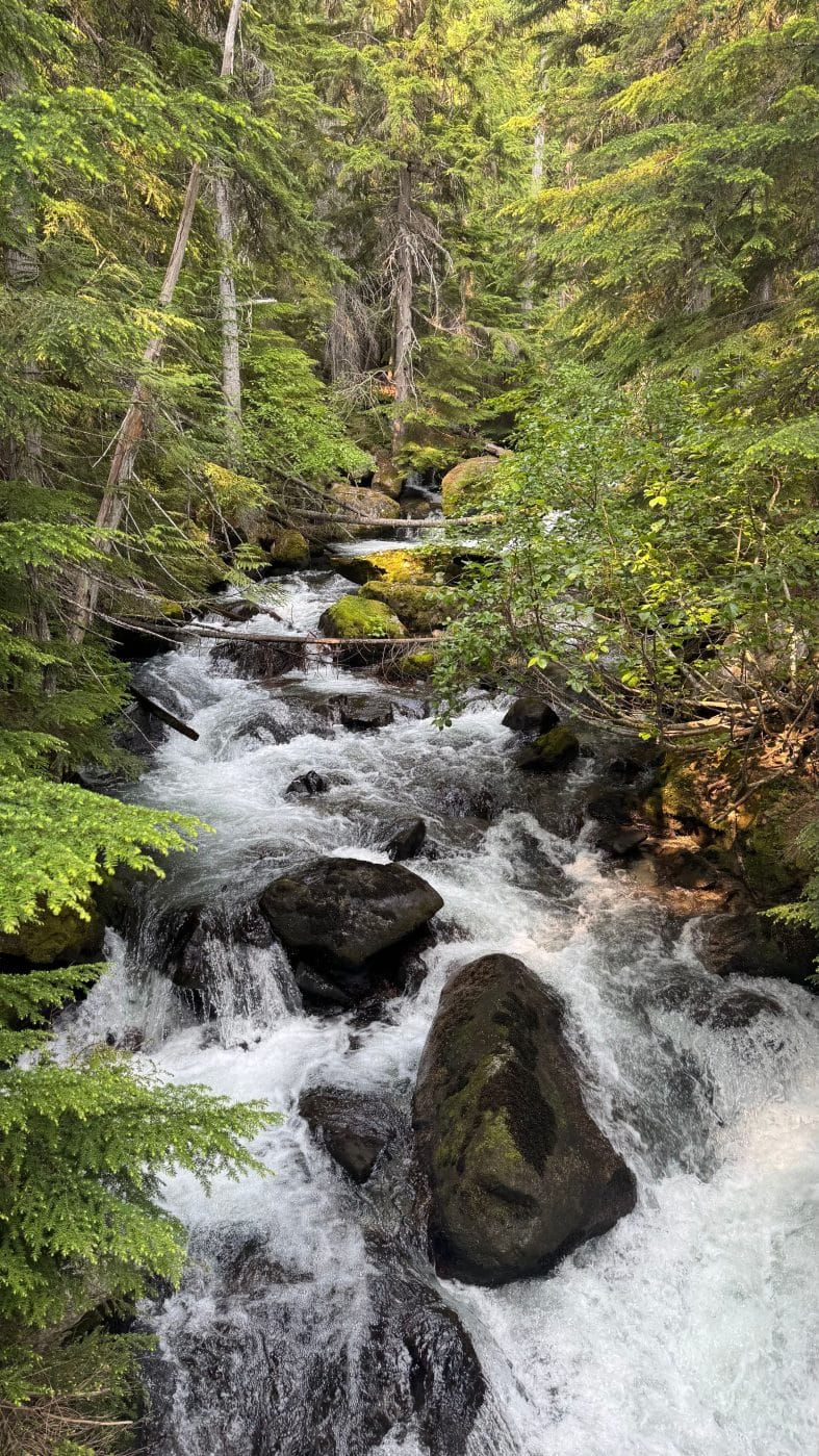 nature
